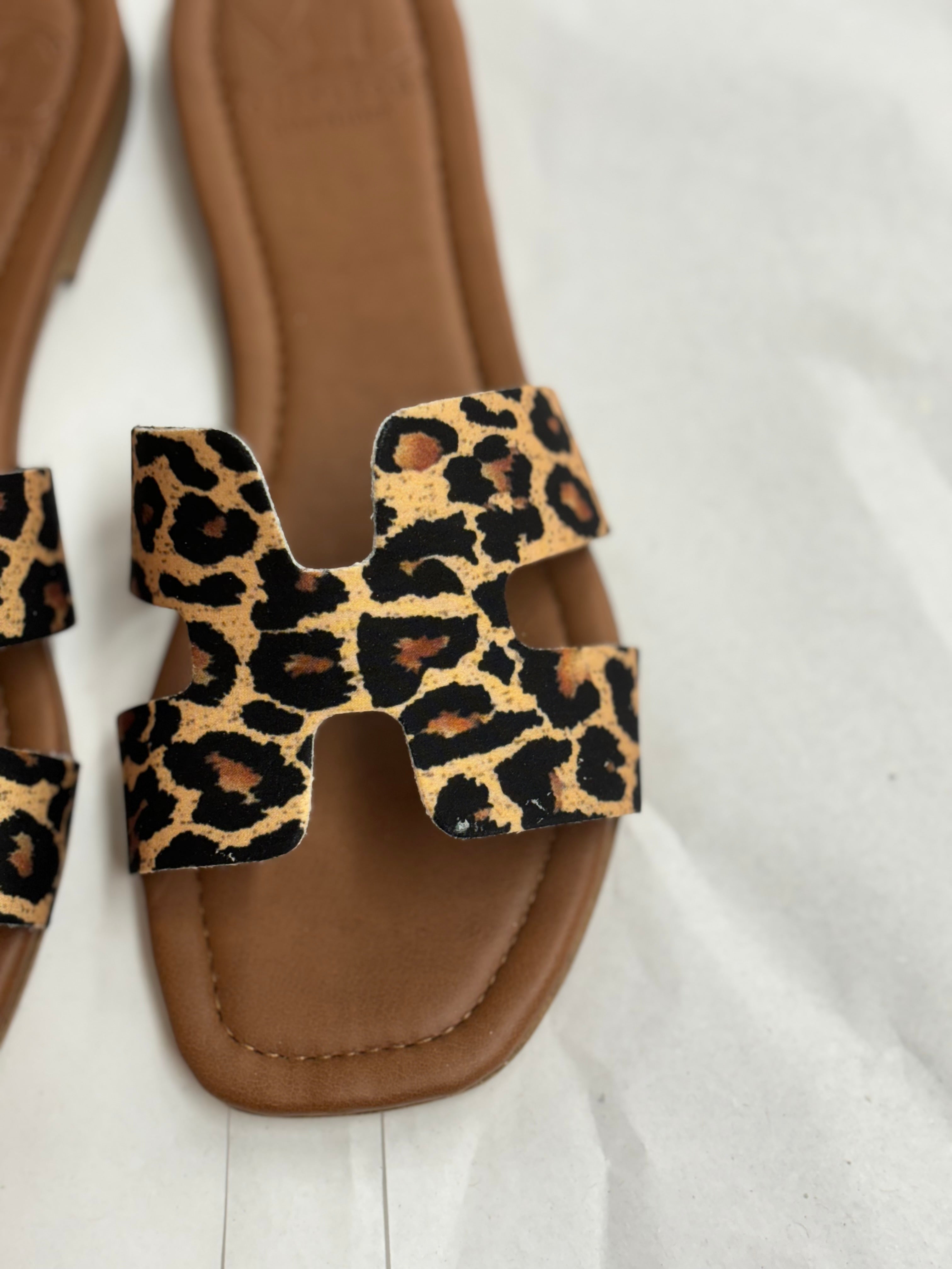 LOLLY ANIMALIER