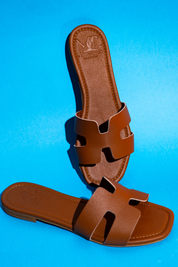 Lolly Camel