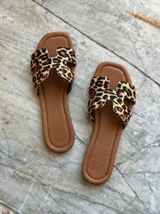 LOLLY ANIMALIER
