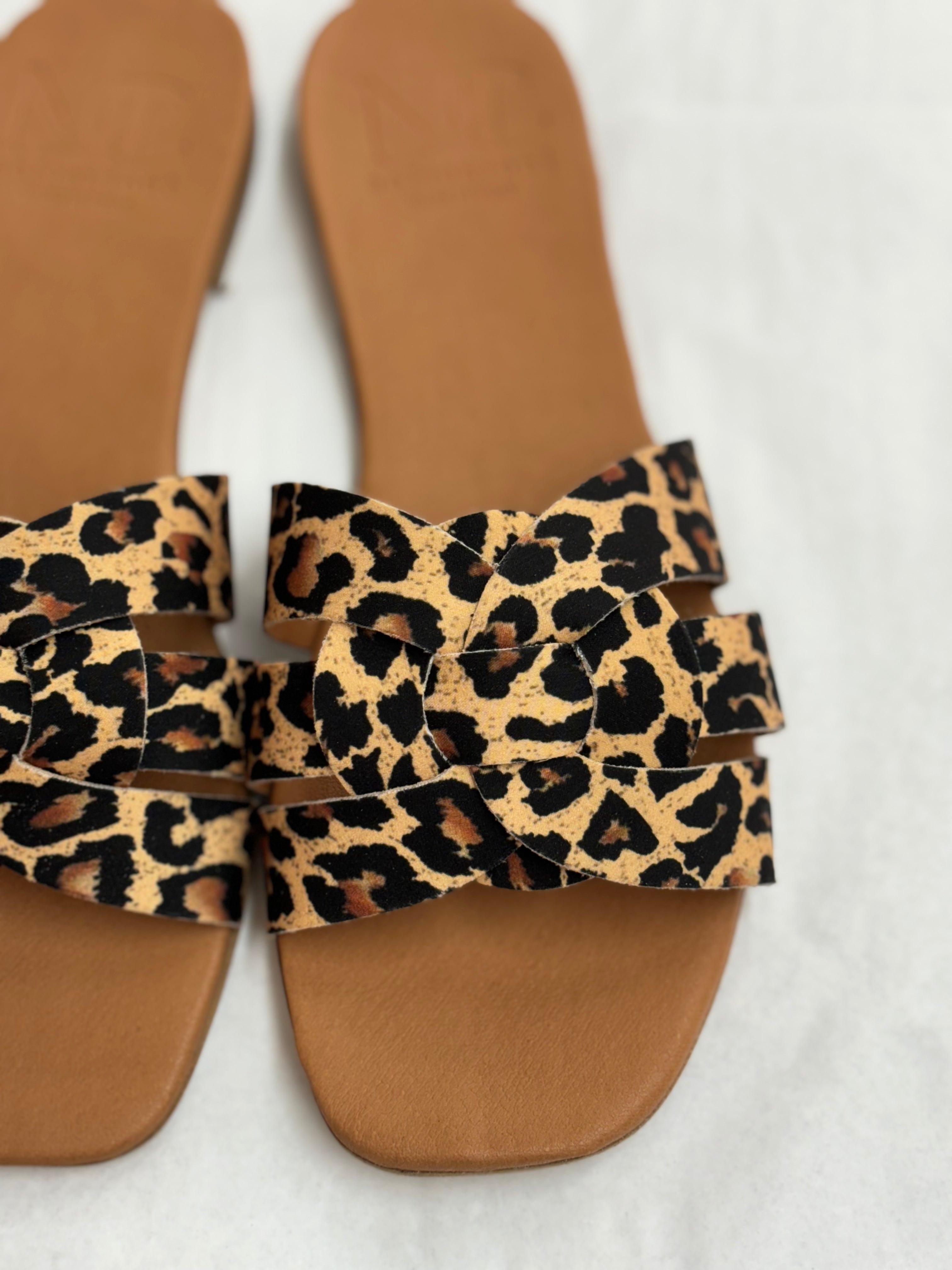 Lolly Samira Animalier