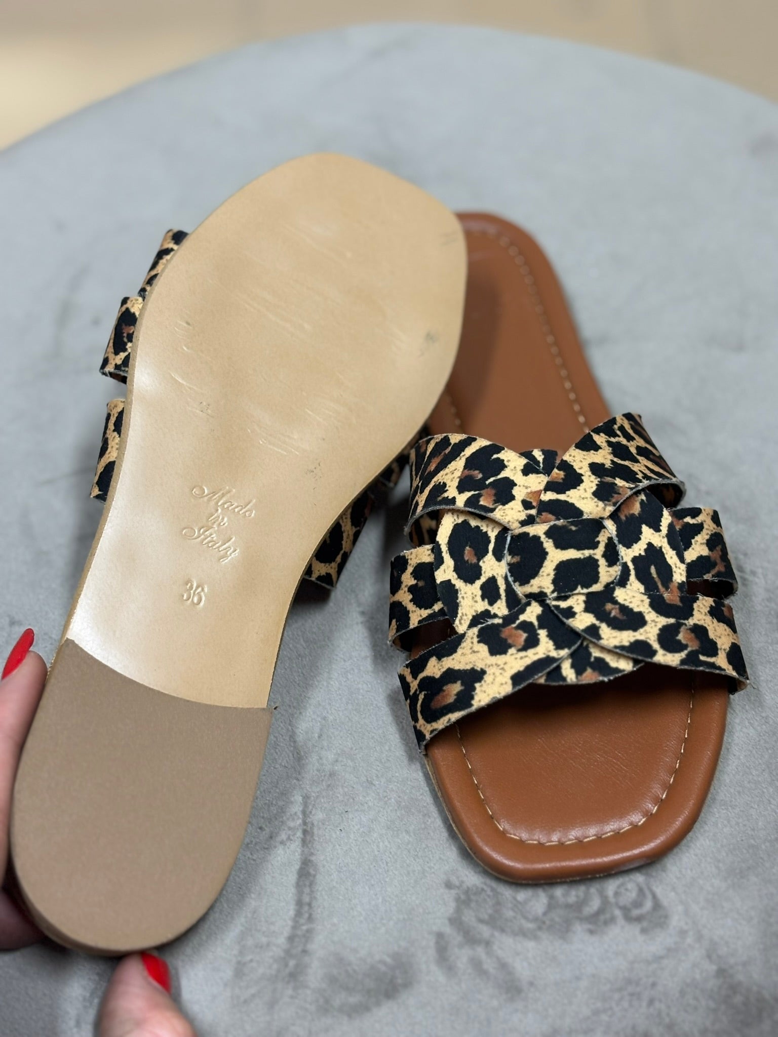 Lolly samira animalier