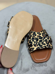 Lolly samira animalier