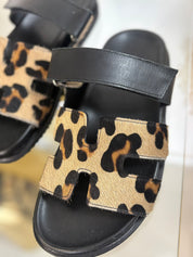 Mykonos animalier